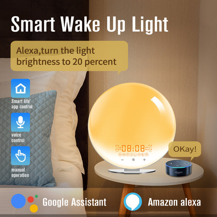 Intelligent WLAN wake-up light with sunrise simulation