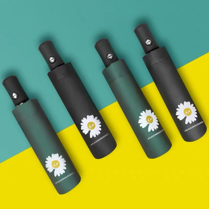 Ladies Automatic Umbrella Stornfield