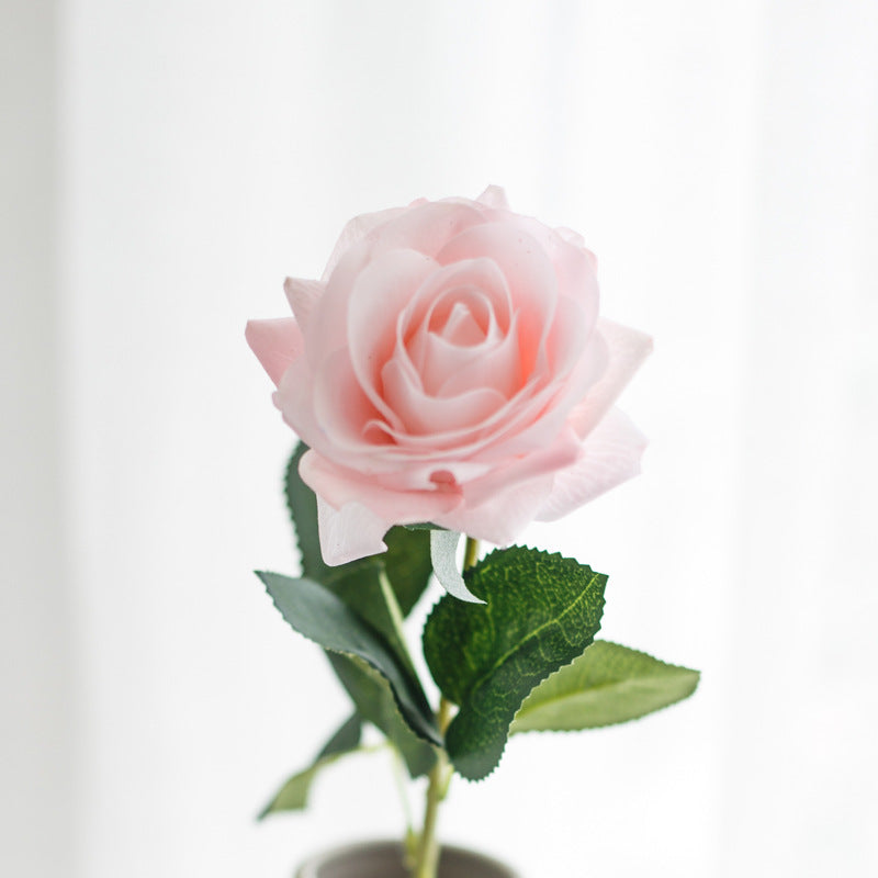 Realistic Synthetic Rose Stem