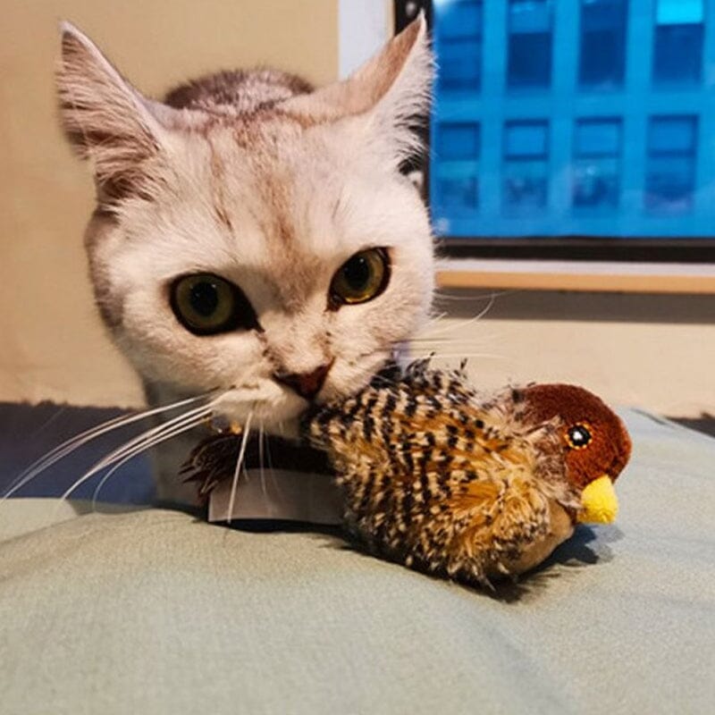 Cat Toy - Stornfield Simulated Chirping Bird
