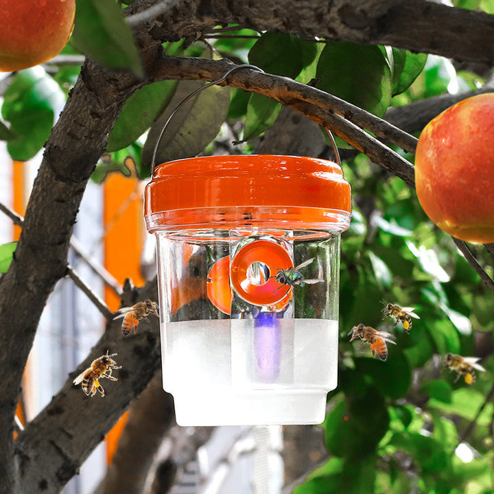 Solar powered wasp trap with LED lure | Stornfield