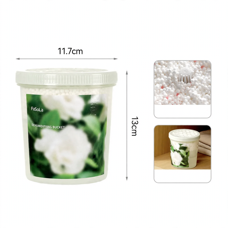 Dehumidifier box against moisture and mold