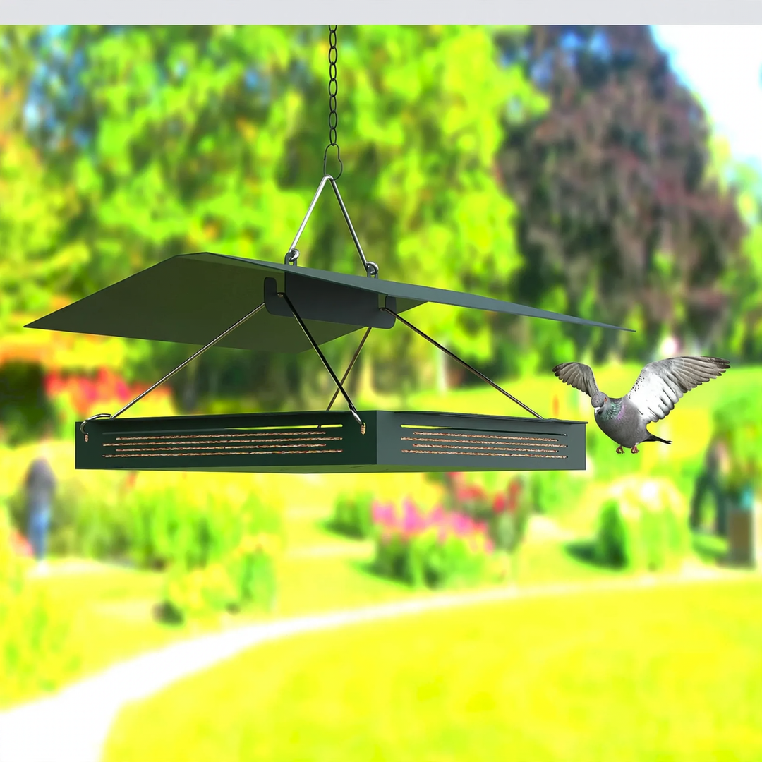 Elegant metal bird station for hanging