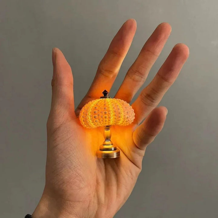Stornfield | LumiCraft – Unique DIY Table Lamp with Natural Seashell for a Cozy Decoration