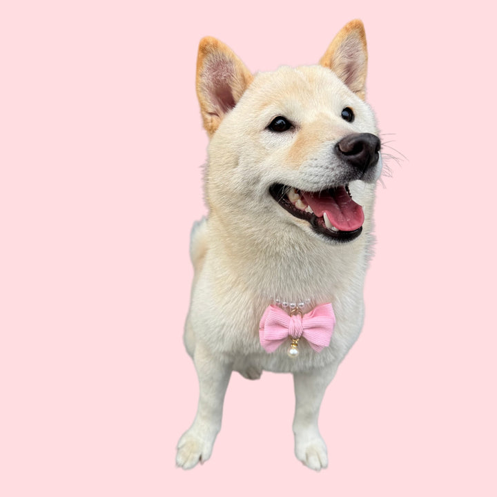 Plastic Collar with Bow for Pets