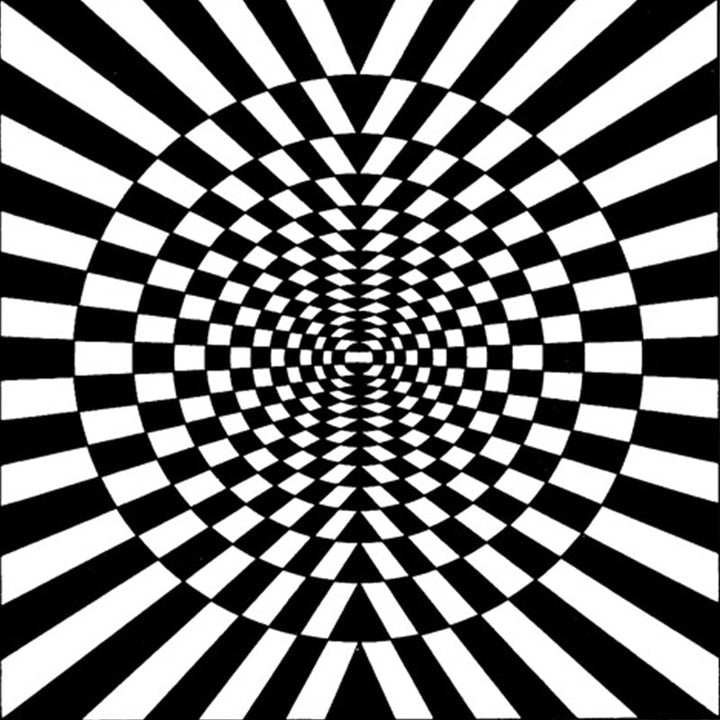 Stornfield | Innovative Black and White Living Room Rug with 3D Circle Striped Pattern Washable and Pet-Friendly Polyester Carpet