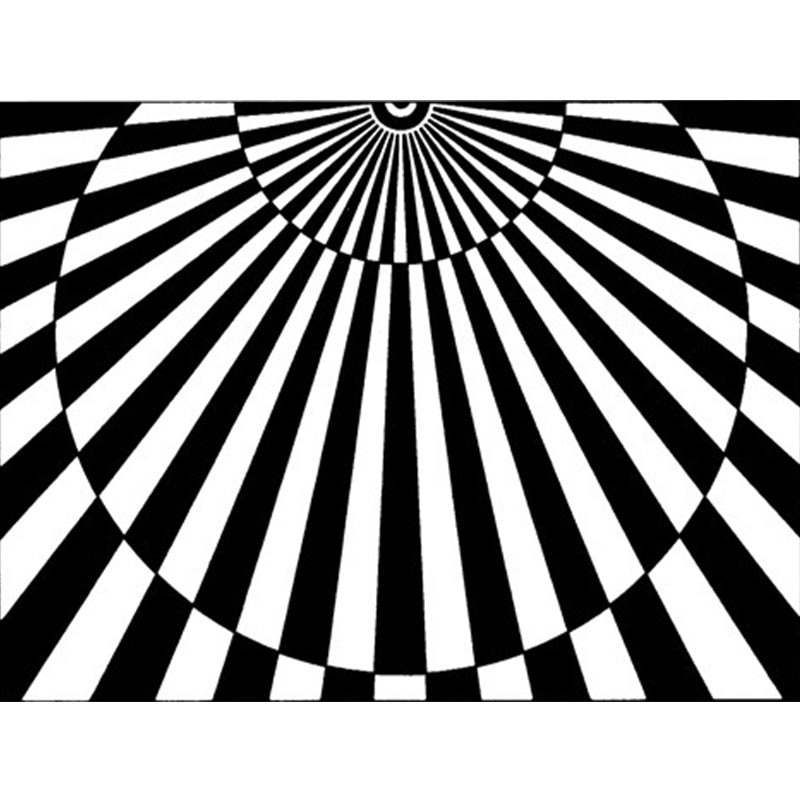 Stornfield | Novelty Black and White Living Room Rug with 3D Half-Circle Striped Print in Polyester, Pet-Friendly, Washable Area Rug