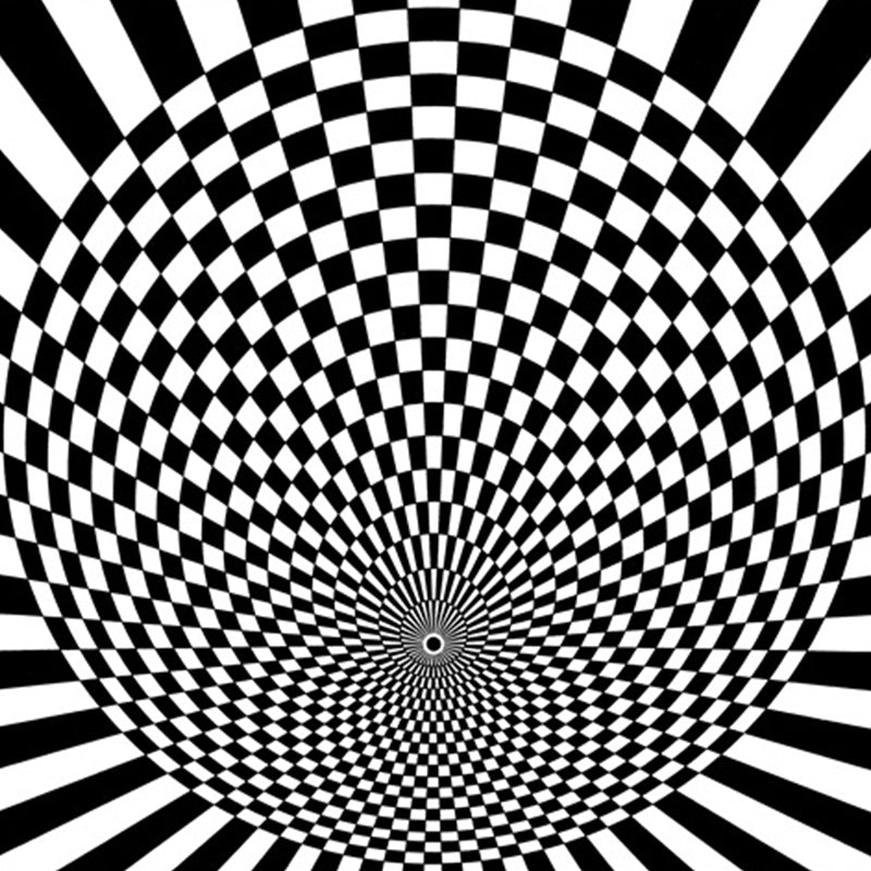 Stornfield | Black and White Novelty 3D Check Pattern Small Polyester Non-Slip Pet-Friendly Bedroom Rug