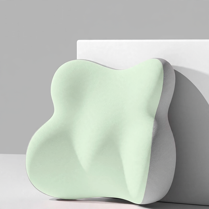 Car pillow and lumbar support, removable