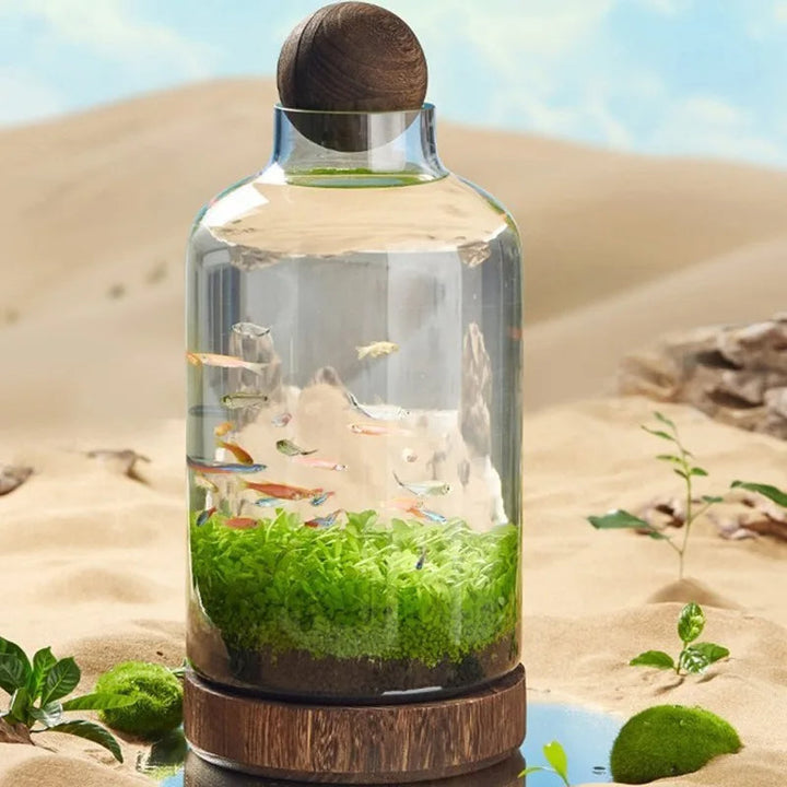Micro Aquarium Compact Glass Ecological Fish Tank | Stornfield