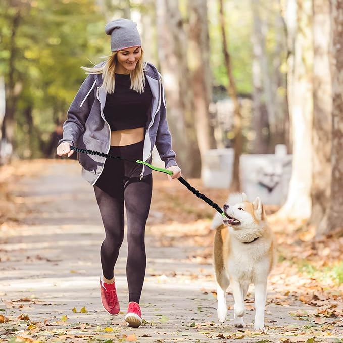 FlowLeash — Experience gentle control and relaxed walks without jerks! | Stornfield