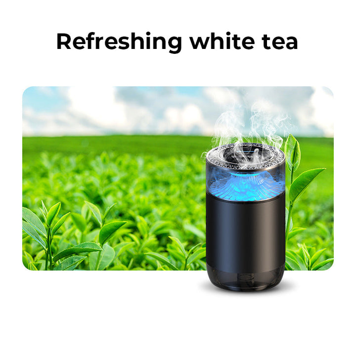 Spray Car Viewing Aromatherapy Diffuser | Stornfield