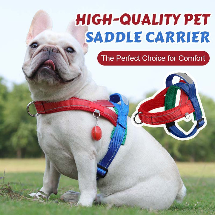 PawEase Comfort Harness — Relaxed Dressing and Unlimited Freedom for Your Dog | Stornfield