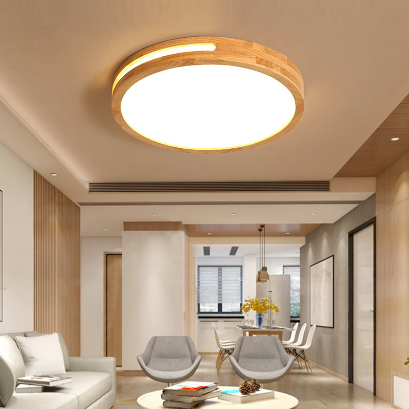 Contemporary LED Ceiling Fixture