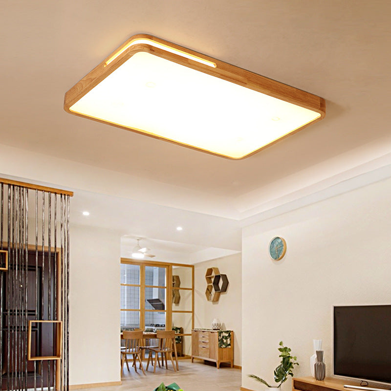Contemporary LED Ceiling Fixture