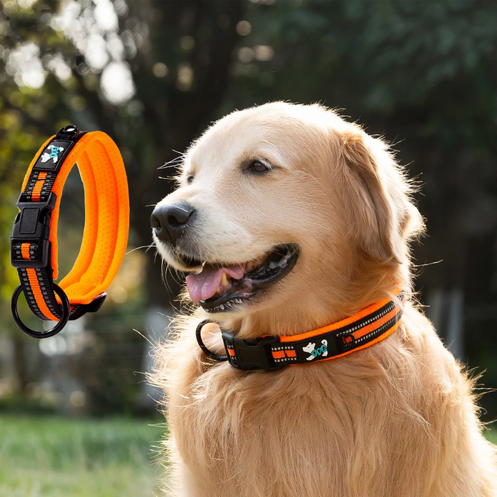 Nylon-Reflective Collar for Dogs and Cats