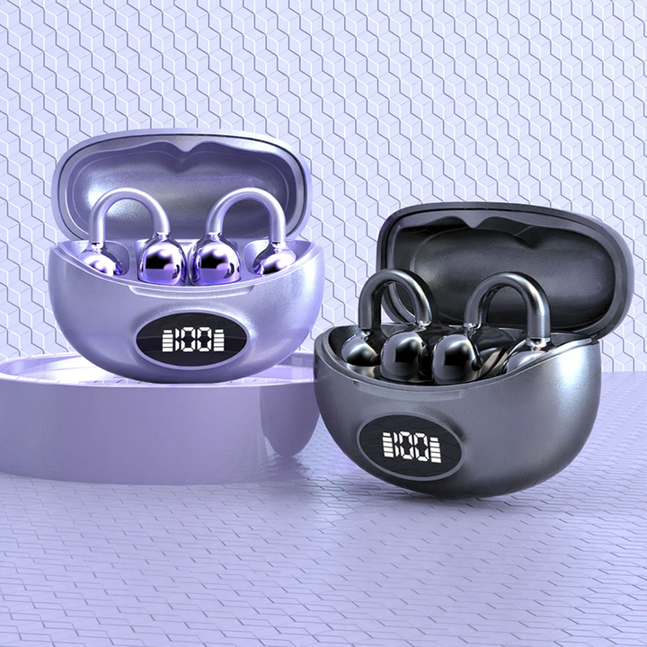 TWS Earbuds with Ear Hook and Digital Display