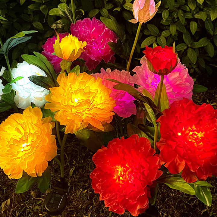 Contemporary Creative Solar Peony Flower LED Waterproof Lawn Landscape Insert Light For Outdoor Patio | Stornfield