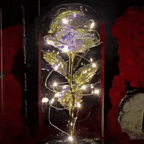Rose in Glass Dome Display | Stornfield