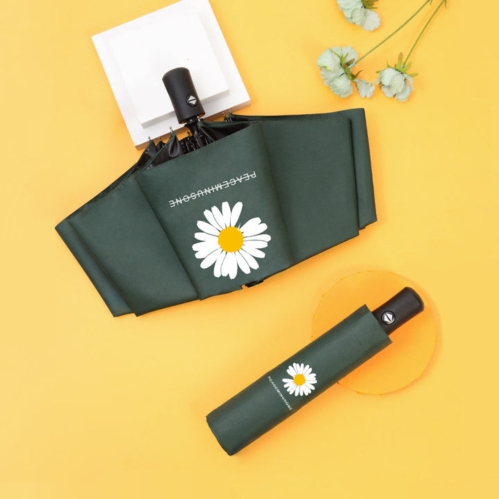 Women compact umbrella Stornfield