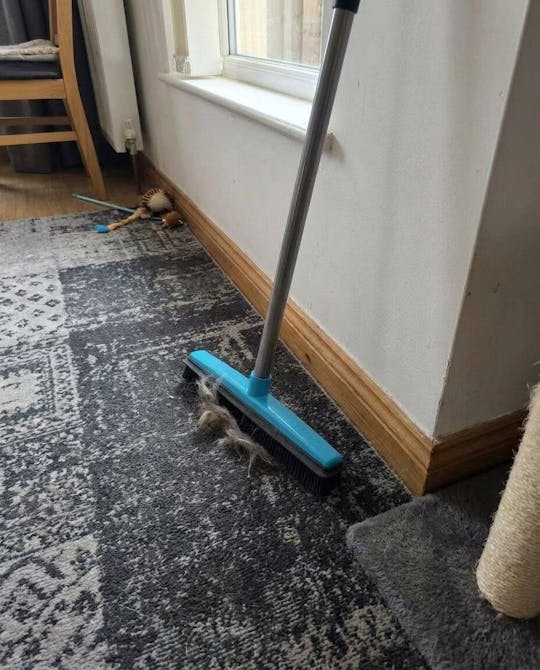 Pet hair remover broom with telescopic handle | Stornfield