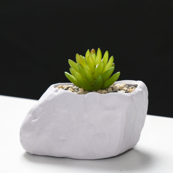 Creative Stone-Shaped Succulent Planter Stornfeild