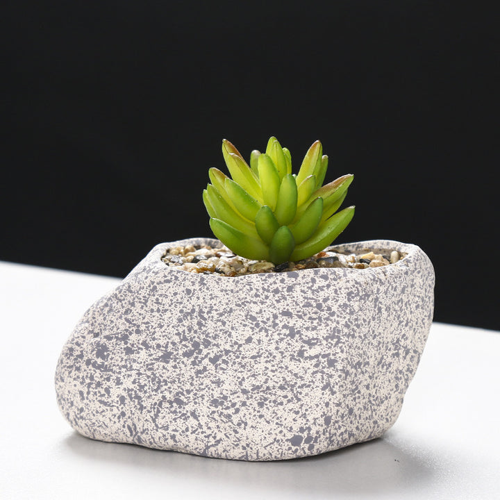 Creative Stone-Shaped Succulent Planter Stornfeild