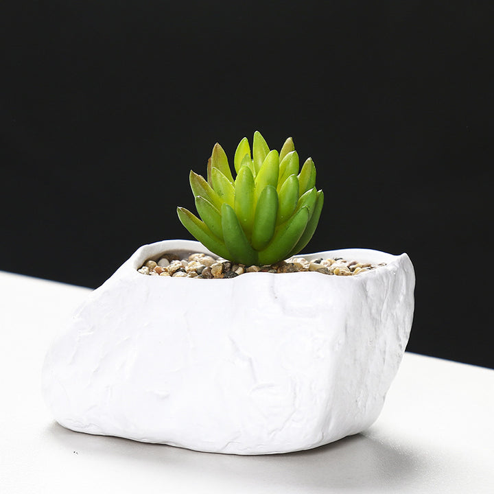 Creative Stone-Shaped Succulent Planter Stornfeild