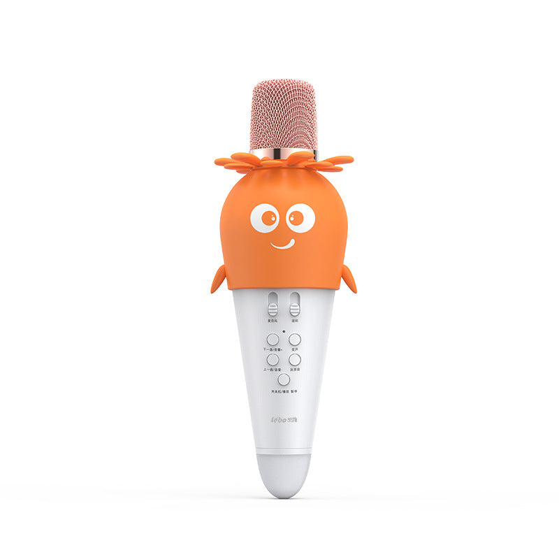 Children's Fun Karaoke Microphone Stornfield