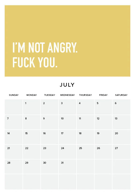 Adulting Is Difficult 2024 Wall Calendar | Stornfield