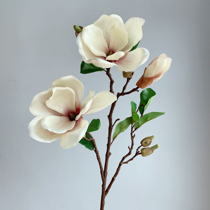 Realistic Magnolia Blossom Stem