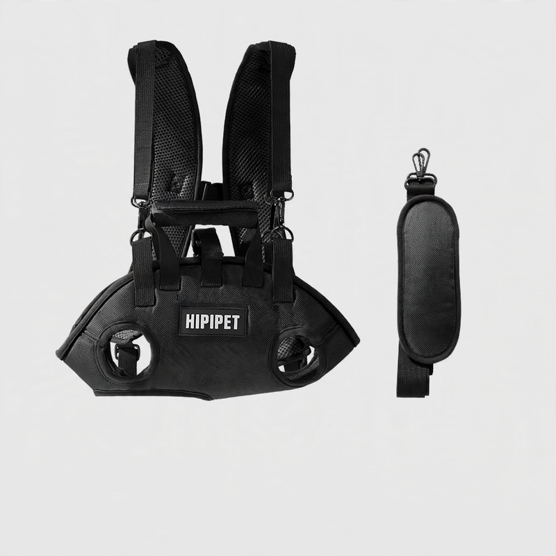 Pet backpack with shoulder strap, PC material