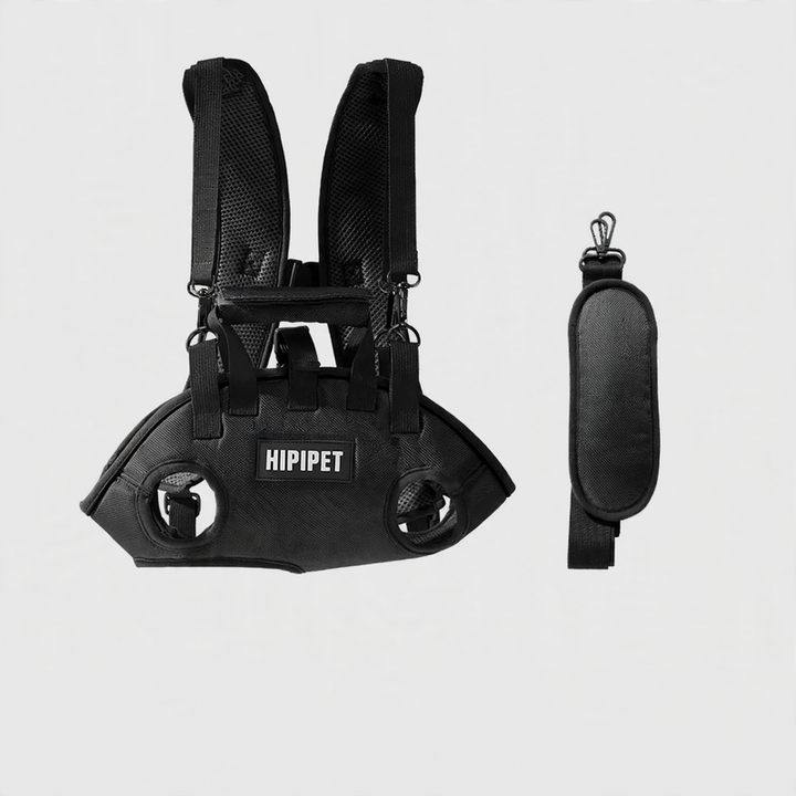 Pet backpack with shoulder strap, PC material