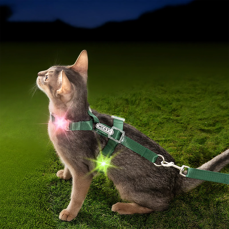Luminous cat and dog harness leash