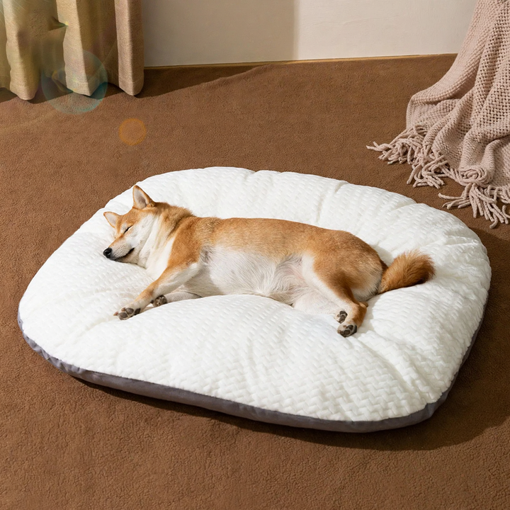 Dog bed, washable, S–XL, warming