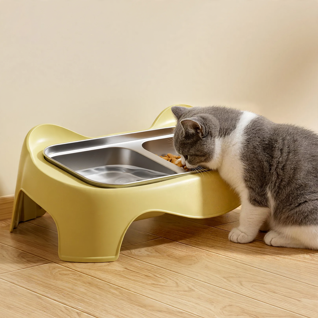 Double bowl for dogs and cats, non-slip