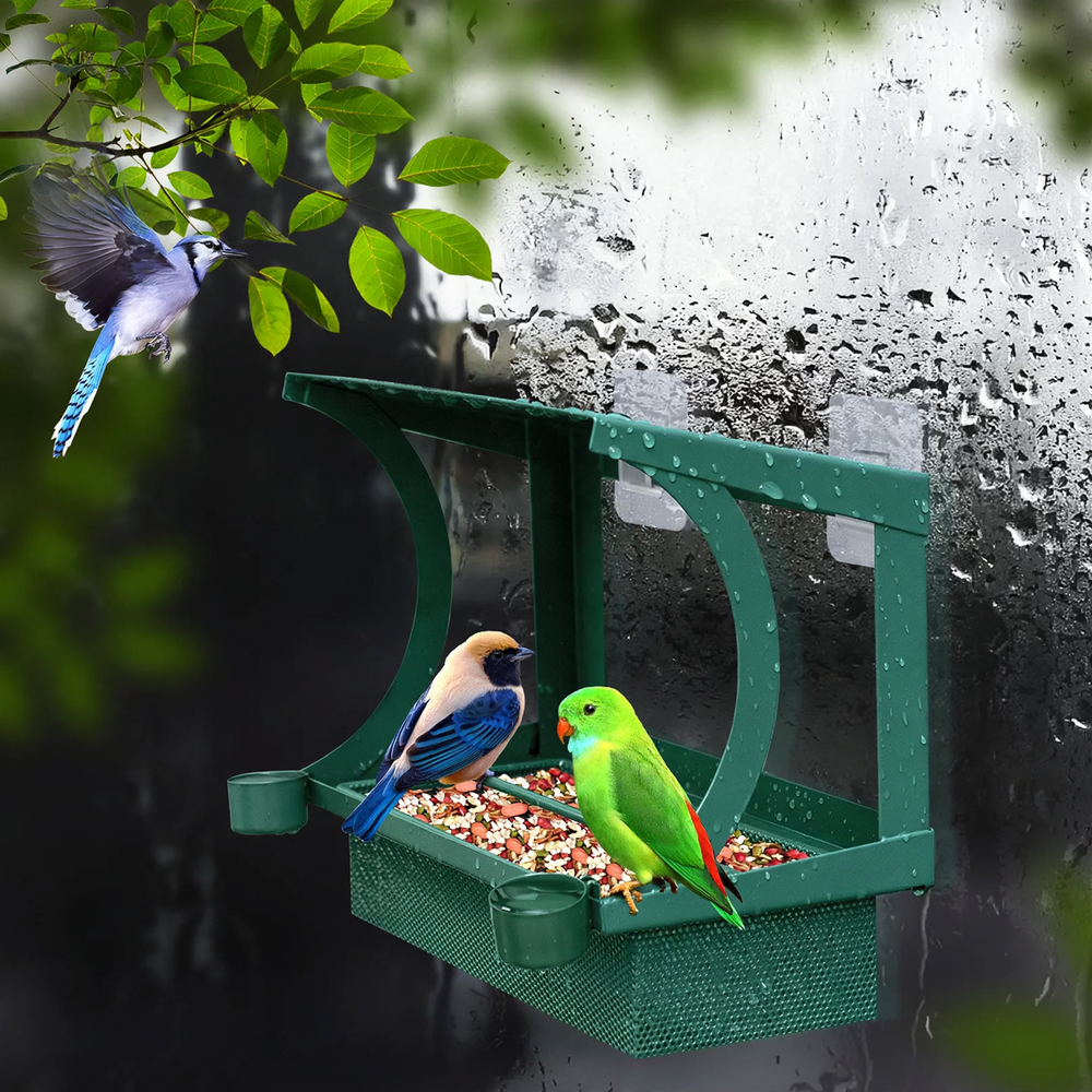 Metal Bird Feeding Station for Window Wall Mounting