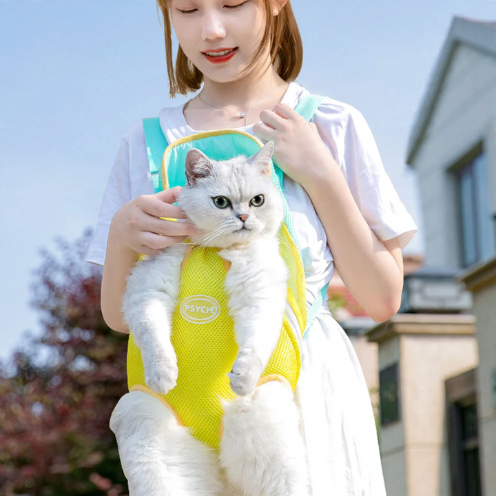 Portable pet bag, chest pouch