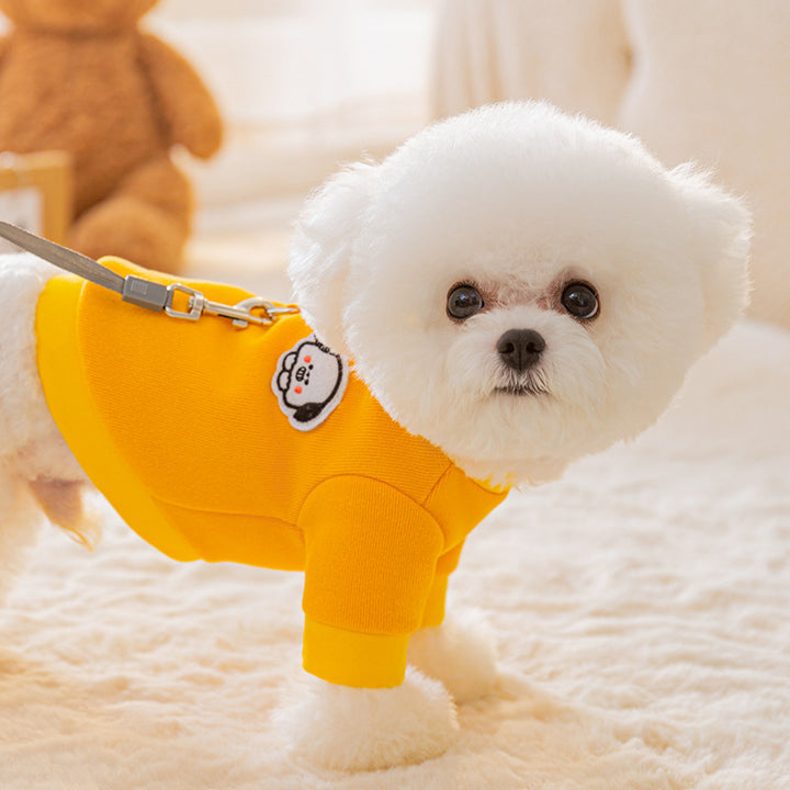 Cartoon Hoodie for Dogs and Cats with Leash