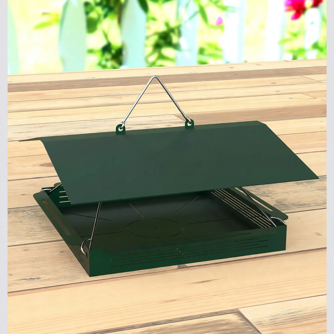 Hanging Bird Feeder Station with Tray