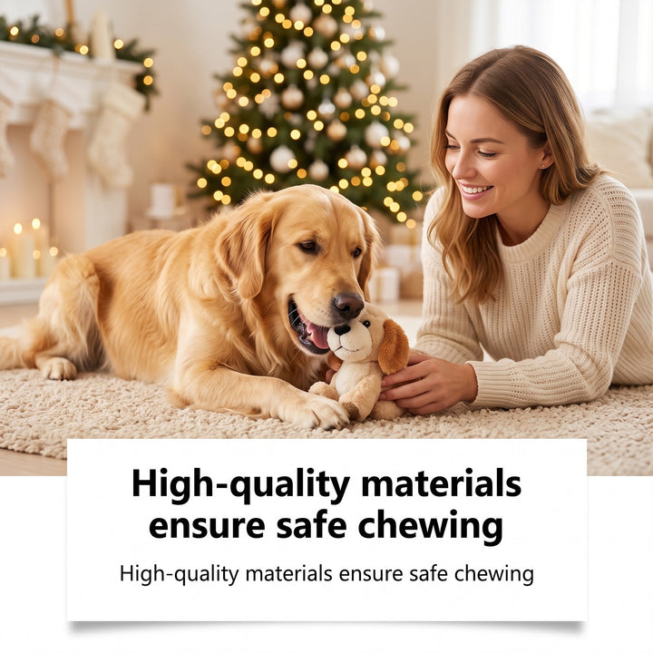 Advent calendar for dogs