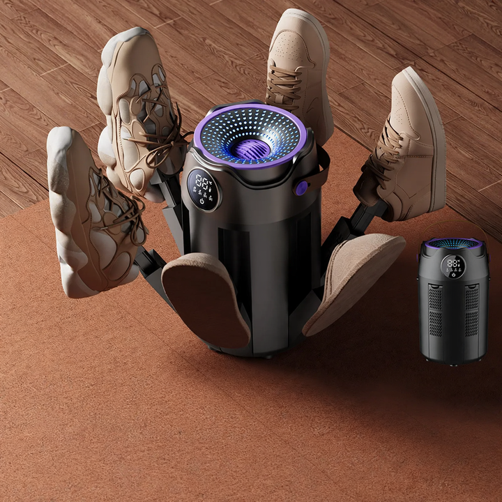 Portable, foldable shoe dryer with timer