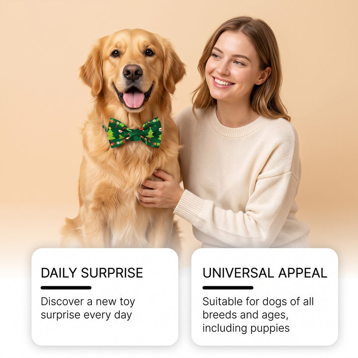 Advent calendar for dogs