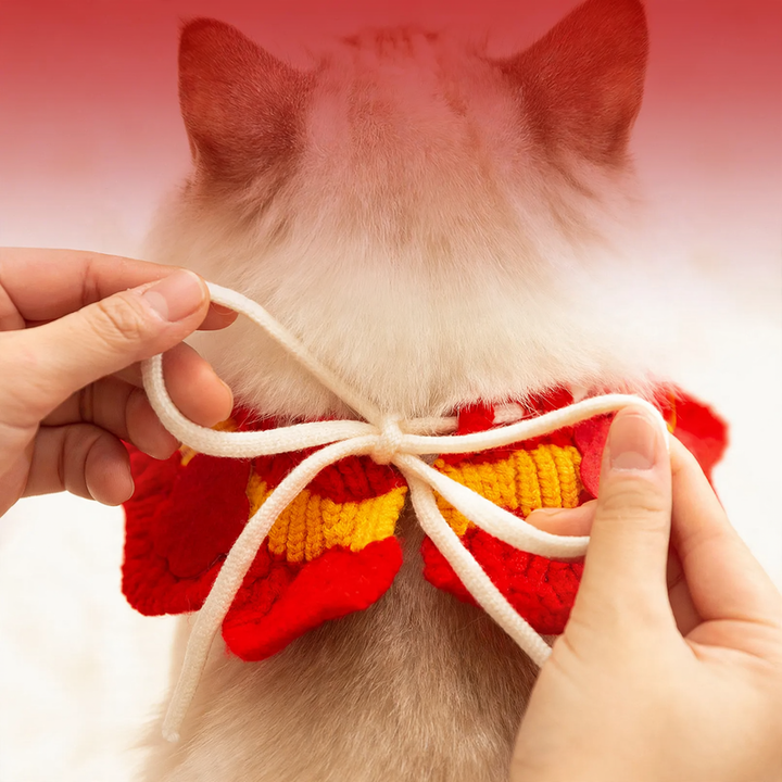 Knitted New Year Collar for Dogs and Cats