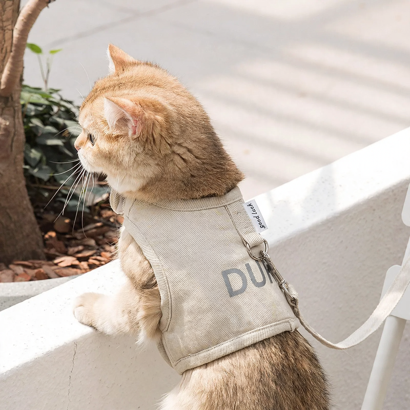Canvas-Harness for Cats, wearable all year round