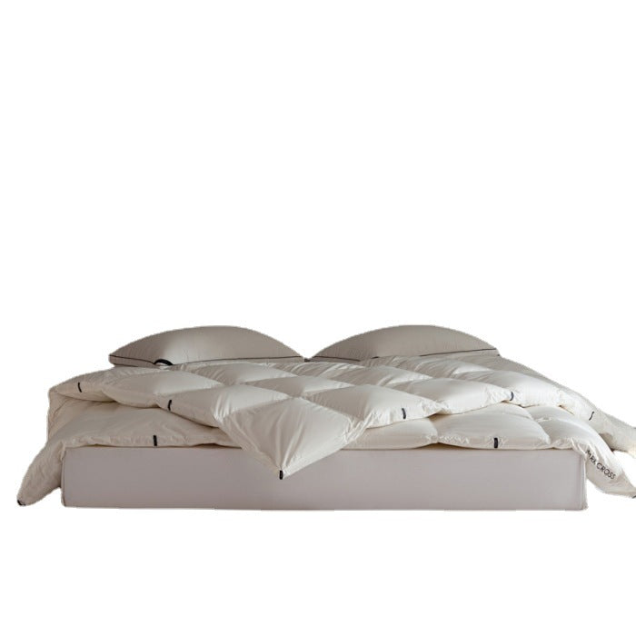 Hungarian white goose down winter blanket, 95% down