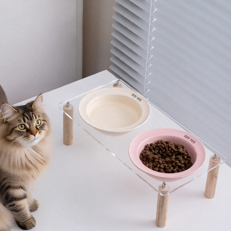 Ceramic double bowl with elevated stand