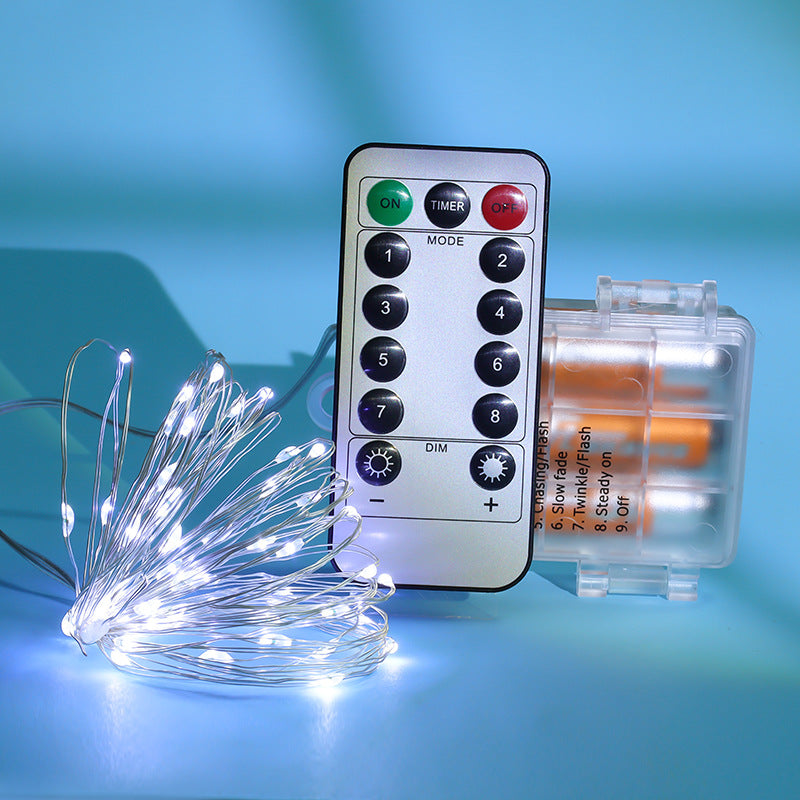 LED Copper Wire String Lights with Remote Control