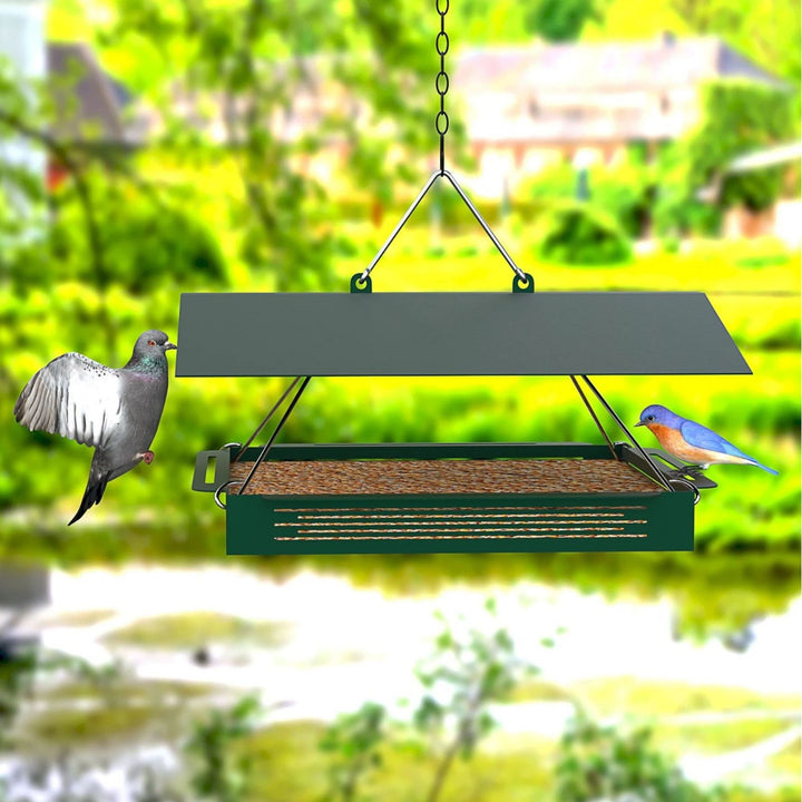 Elegant metal bird station for hanging