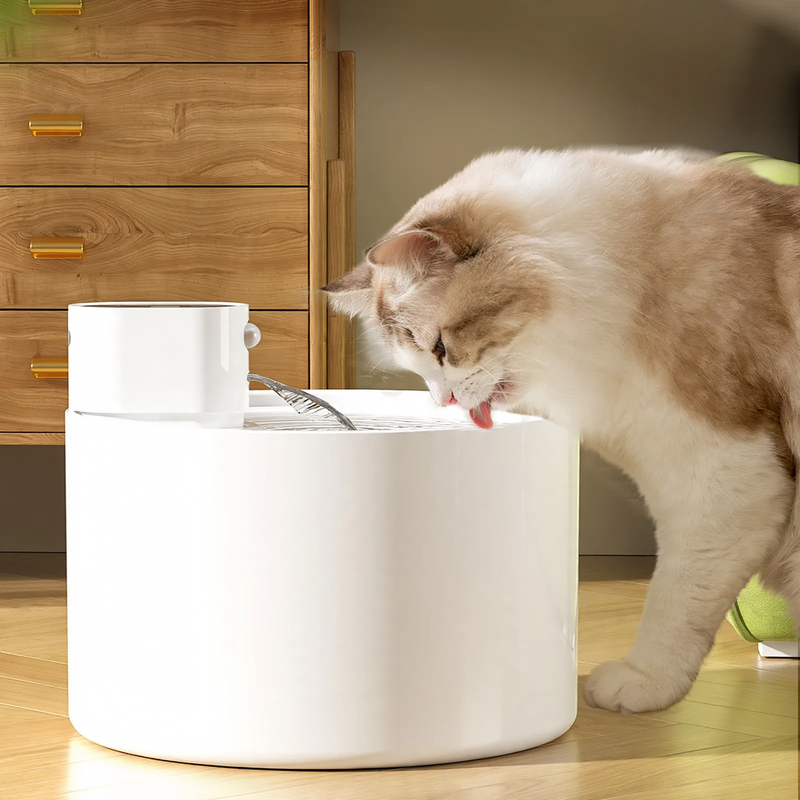 Wireless ceramic drinking fountain with motion sensor